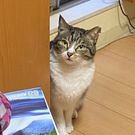 太郎